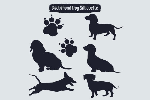 Dachshund Dog in Different Positions – A Designer's Review