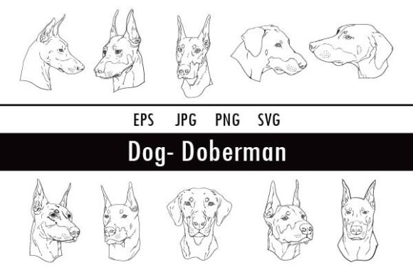 Dog-doberman: A Designer's Review for Real Embroidery
