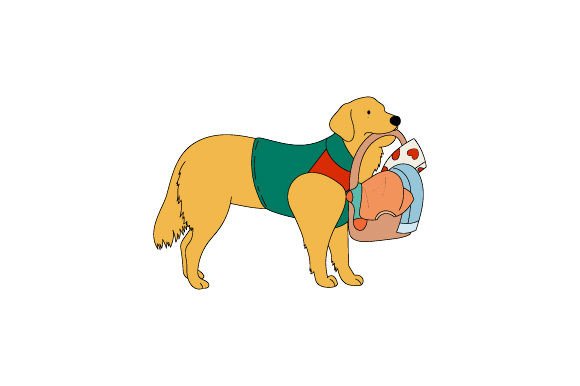 Labrador Wearing Service Dog Jacket: Embroidery Review
